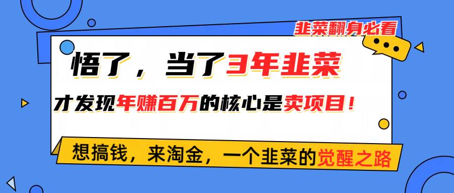 悟了，当了3年韭菜，才发现网赚圈年赚100万的核心是卖项目，含泪分享！-百盟网