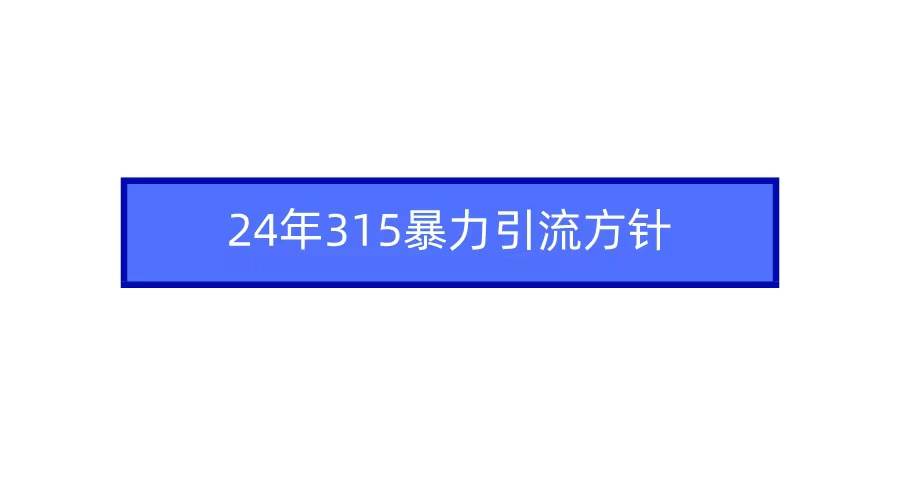 2024年315暴力引流方针-百盟网