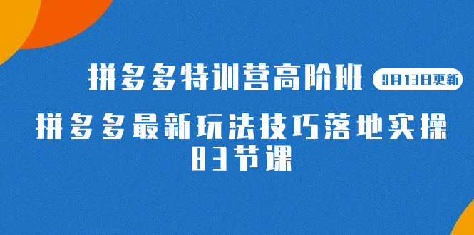 2023拼多多·特训营高阶班【9月13日更新】拼多多最新玩法技巧落地实操-83节-百盟网