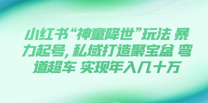 小红书“神童降世”玩法 暴力起号,私域打造聚宝盆 弯道超车 实现年入几十万-百盟网