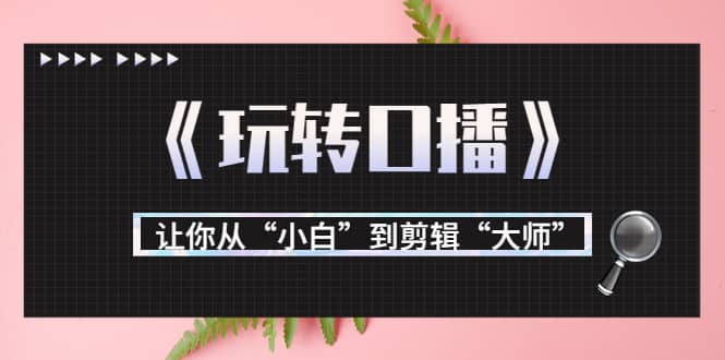 月营业额700万+大佬教您《玩转口播》让你从“小白”到剪辑“大师”-百盟网