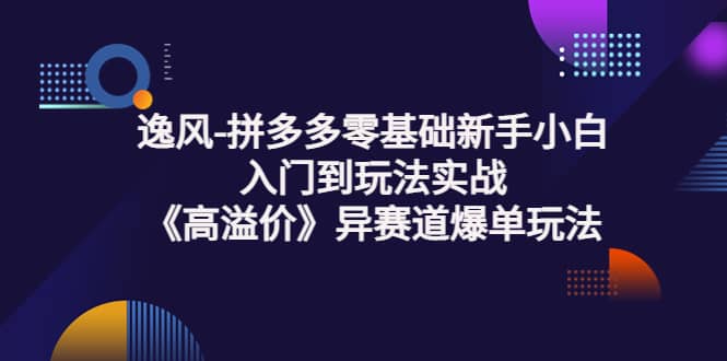 拼多多零基础新手小白入门到玩法实战《高溢价》异赛道爆单玩法实操课-百盟网