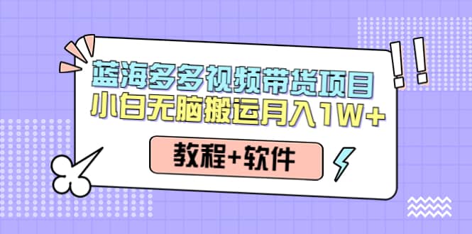 人人都能操作的蓝海多多视频带货项目 小白无脑搬运（教程+软件）-百盟网