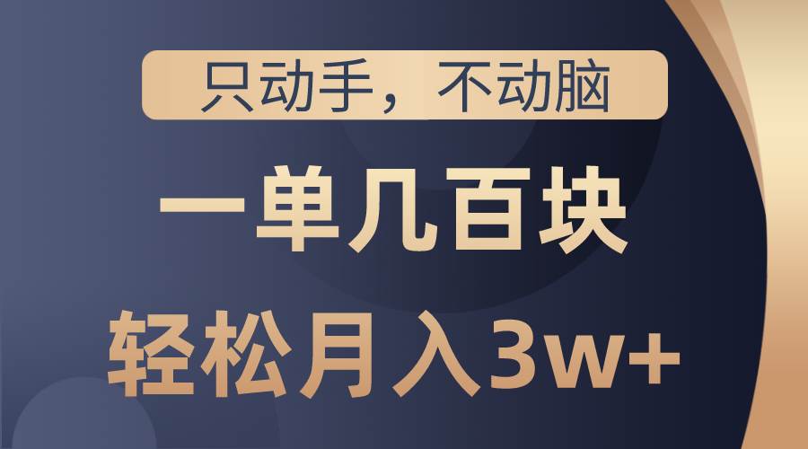 只动手不动脑，一单几百块，轻松月入3w+，看完就能直接操作，详细教程-百盟网