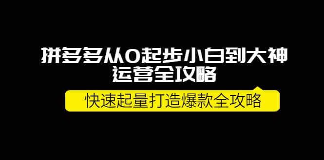 拼多多从0起步小白到大神运营全攻略-百盟网