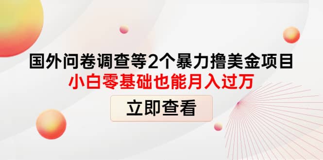 国外问卷调查等2个暴力撸美元项目，小白零基础也能月入过万-百盟网