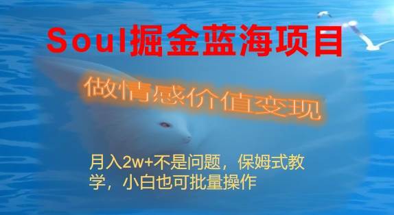 Soul掘金蓝海项目细分赛道，做情感价值变现，月入2w+不是问题-百盟网