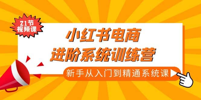 小红书电商进阶系统训练营：新手从入门到精通系统课（21节视频课）-百盟网