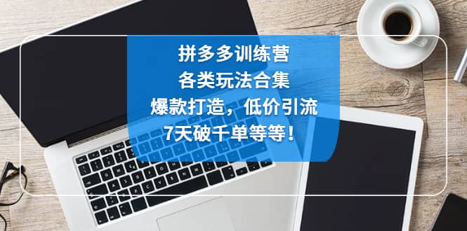 拼多多训练营：各玩法合集，爆款打造，低价引流，7天破千单等等-百盟网