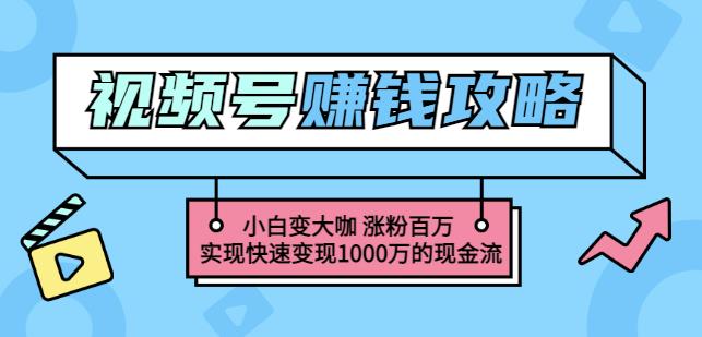 玩转微信视频号赚钱：小白变大咖涨粉百万实现快速变现1000万的现金流-百盟网