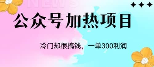 冷门公众号加热项目，一单利润300+-百盟网