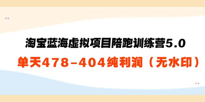 淘宝蓝海虚拟项目陪跑训练营5.0：单天478纯利润（无水印）-百盟网