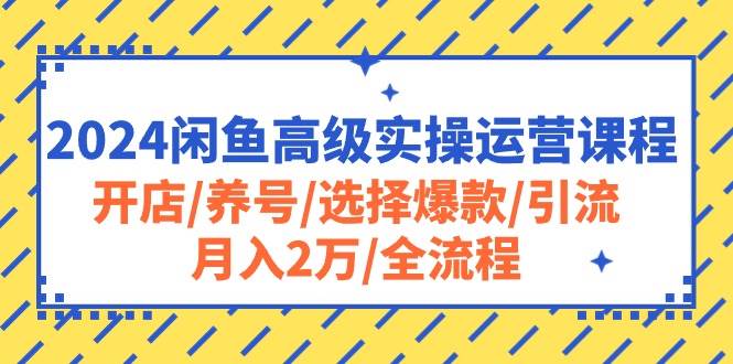 2024闲鱼高级实操运营课程：开店/养号/选择爆款/引流/月入2万/全流程-百盟网