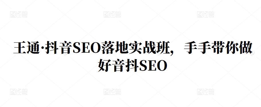 王通·抖音SEO落地实战班，手‬手带你做好音抖‬‬SEO-百盟网