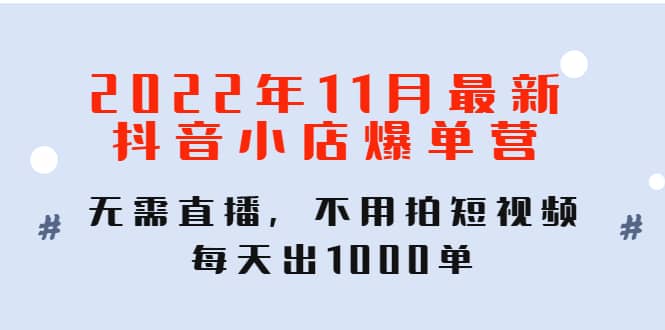 2022年11月最新抖音小店爆单训练营：无需直播，不用拍短视频，每天出1000单-百盟网