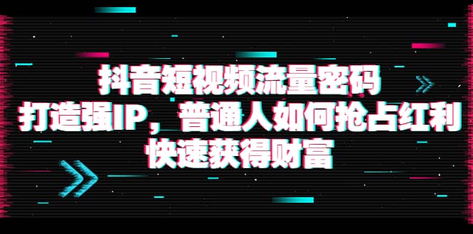 抖音短视频流量密码：打造强IP，普通人如何抢占红利，快速获得财富-百盟网