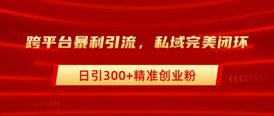 跨平台暴力引流，私域完美闭环，日引300+精准创业粉-百盟网