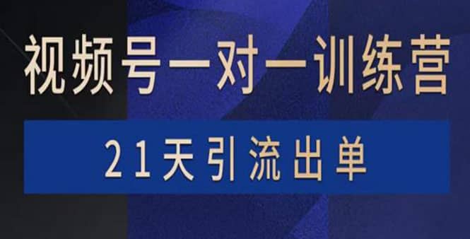 视频号训练营：带货，涨粉，直播，游戏，四大变现新方向，21天引流出单-百盟网