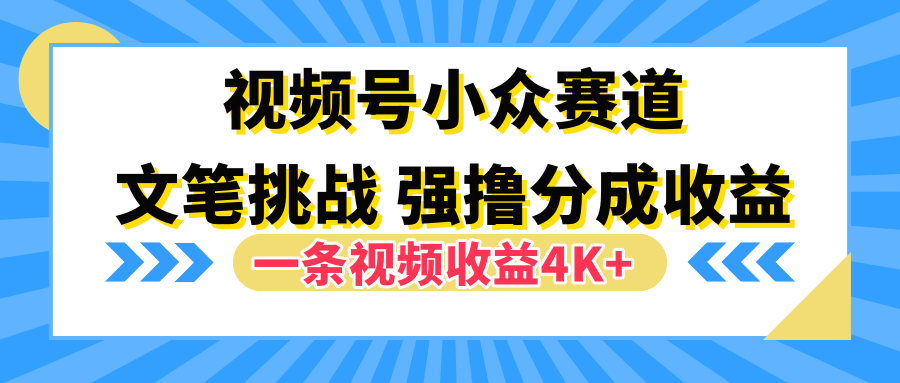 视频号小众赛道，文笔挑战，一条视频收益4K+-百盟网