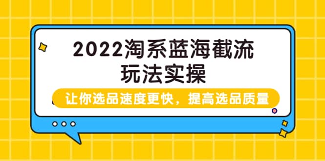 2022淘系蓝海截流玩法实操：让你选品速度更快，提高选品质量（价值599）-百盟网