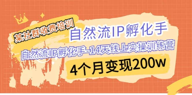 某社群收费培训：自然流IP 孵化手-14天线上实操训练营 4个月变现200w-百盟网