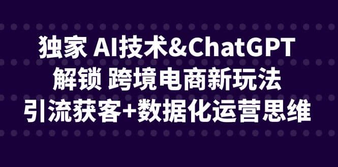 独家 AI技术ChatGPT解锁 跨境电商新玩法，引流获客+数据化运营思维-百盟网