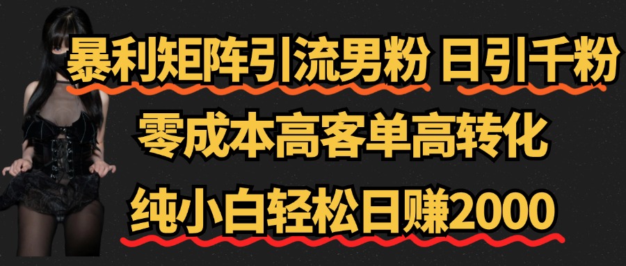 暴利矩阵引流男粉（日引千粉），零成本高客单高转化，纯小白轻松日赚2000+-百盟网