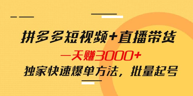 拼多多短视频+直播带货，一天赚3000+独家快速爆单方法，批量起号-百盟网