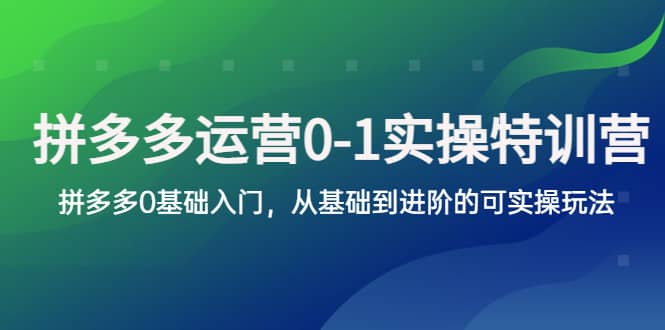 拼多多-运营0-1实操训练营，拼多多0基础入门，从基础到进阶的可实操玩法-百盟网