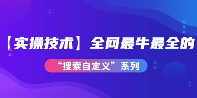 【实操技术】全网最牛最全的“搜索自定义”系列！价值698元-百盟网