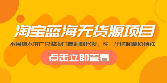 淘宝蓝海无货源项目，不囤货不推广只做冷门高利润代发-百盟网