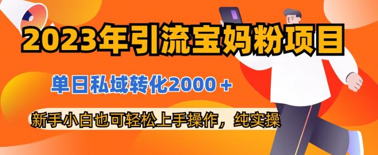 2023年引流宝妈粉项目，单日私域转化2000＋，新手小白也可轻松上手操作，纯实操-百盟网