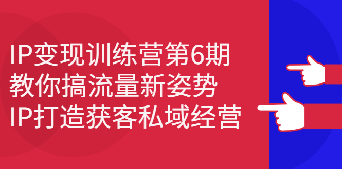 IP变现训练营第6期：教你搞流量新姿势，IP打造获客私域经营-百盟网