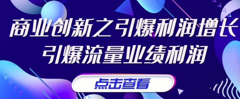 《商业创新之引爆利润增长》引爆流量业绩利润-百盟网