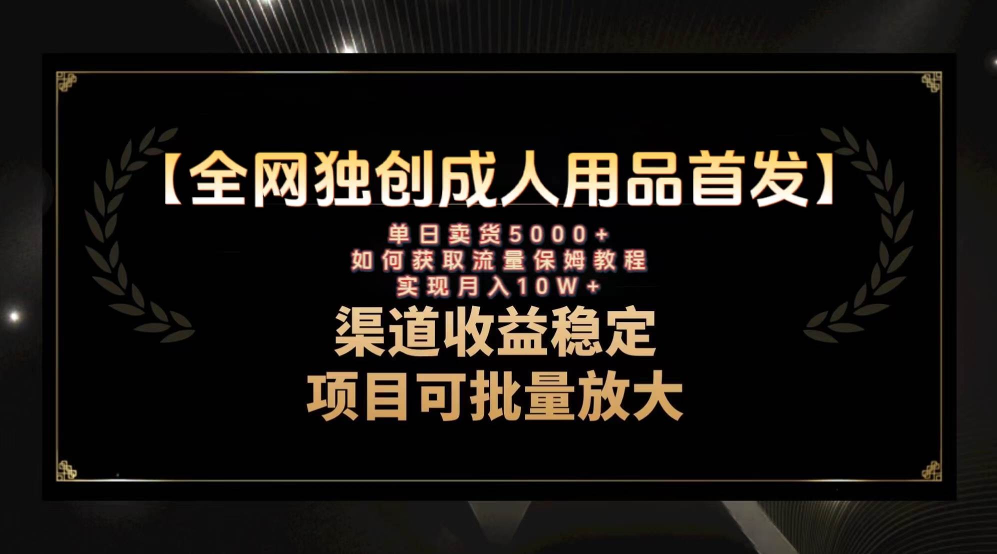 最新全网独创首发，成人用品赛道引流获客，月入10w保姆级教程-百盟网