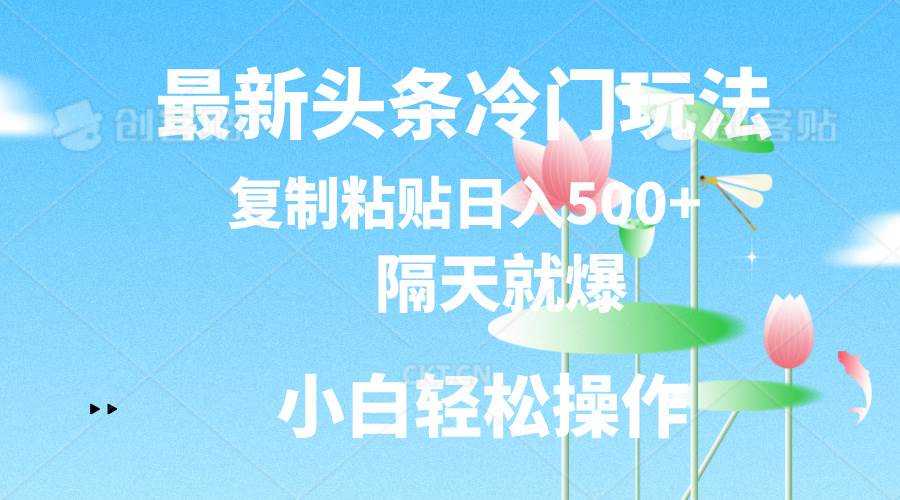 最新头条冷门玩法，隔天就爆，复制粘贴日入500+-百盟网