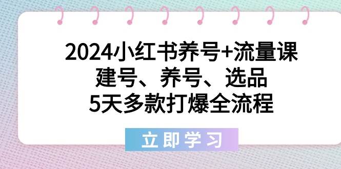 2024小红书养号+流量课：建号、养号、选品，5天多款打爆全流程-百盟网