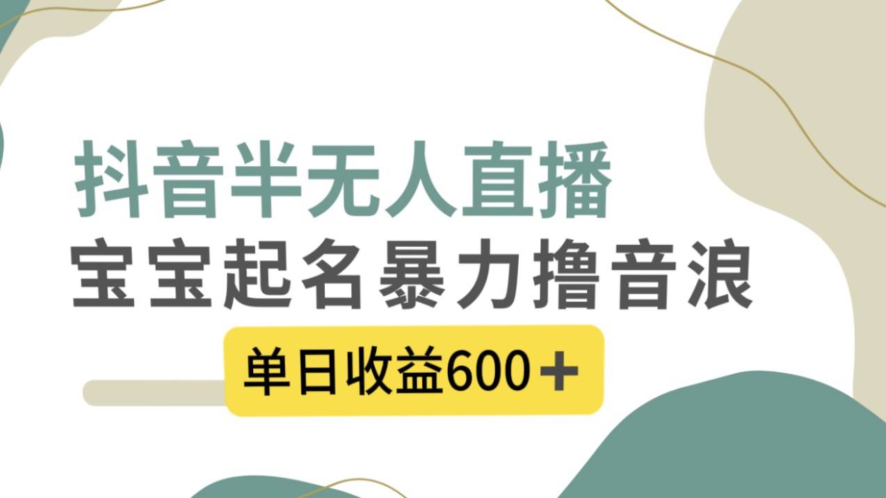 抖音半无人直播，宝宝起名，暴力撸音浪，单日收益600+-百盟网