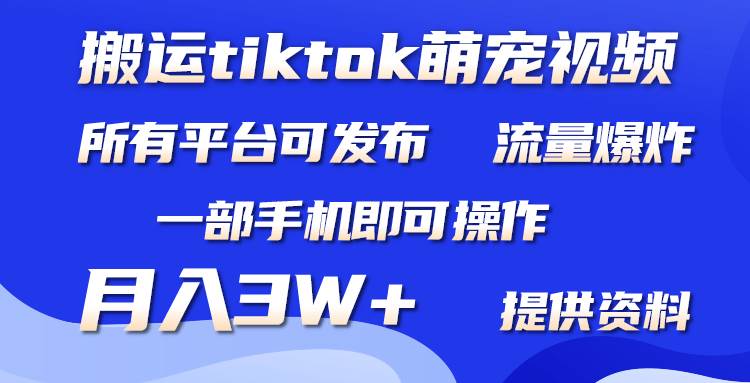 搬运Tiktok萌宠类视频，一部手机即可。所有短视频平台均可操作，月入3W+-百盟网