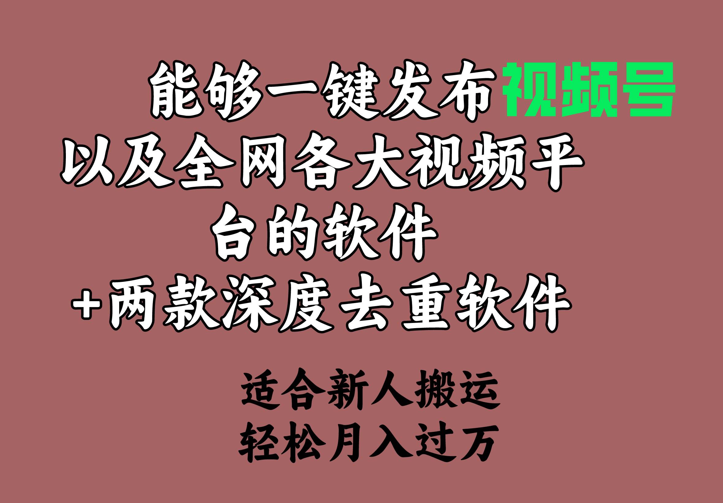 能够一键发布视频号以及全网各大视频平台的软件+两款深度去重软件 适合…-百盟网