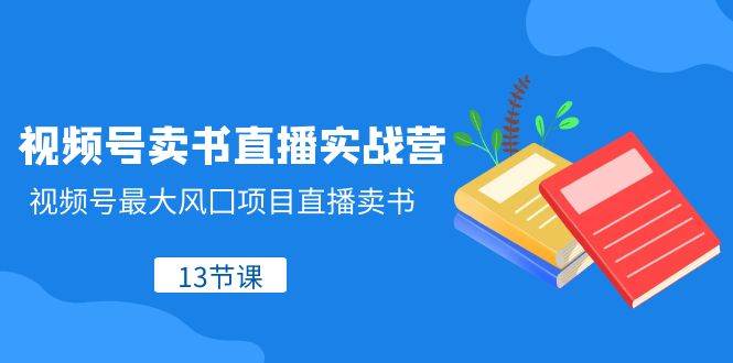 视频号-卖书直播实战营，视频号最大风囗项目直播卖书（13节课）-百盟网