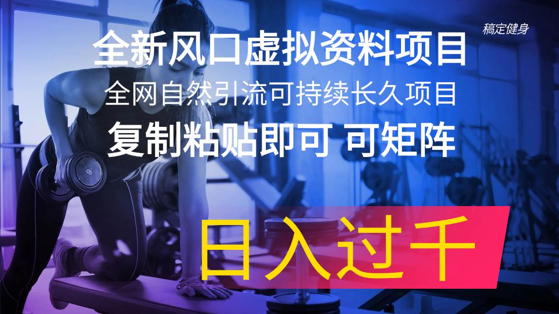 全新风口虚拟资料项目 全网自然引流可持续长久项目 复制粘贴即可可矩阵…-百盟网