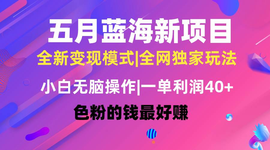 五月蓝海项目全新玩法，小白无脑操作，一天几分钟，矩阵操作，月入4万+-百盟网