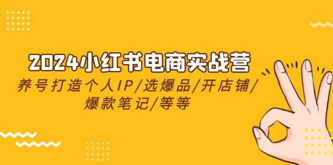 2024小红书电商实战营，养号打造IP/选爆品/开店铺/爆款笔记/等等（24节）-百盟网