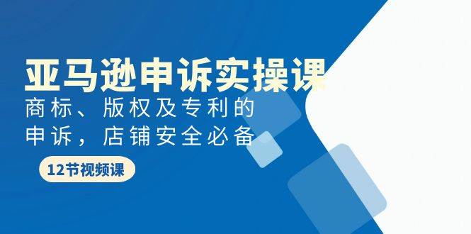 亚马逊-申诉实战课，商标、版权及专利的申诉，店铺安全必备-百盟网