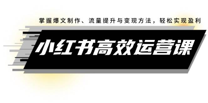 小红书高效运营课：掌握爆文制作、流量提升与变现方法，轻松实现盈利-百盟网