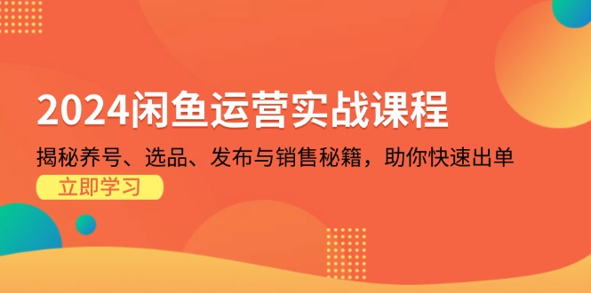 2024闲鱼运营实战课程：揭秘养号、选品、发布与销售秘籍，助你快速出单-百盟网