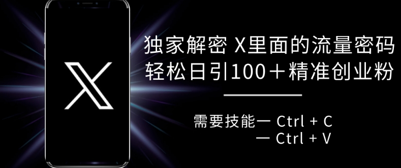 独家解密 X 里面的流量密码，复制粘贴轻松日引100+-百盟网