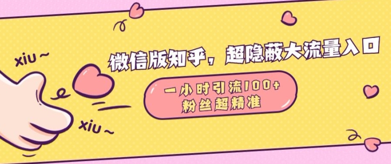 微信版知乎，超隐蔽流量入口1小时引流100人，粉丝质量超高-百盟网