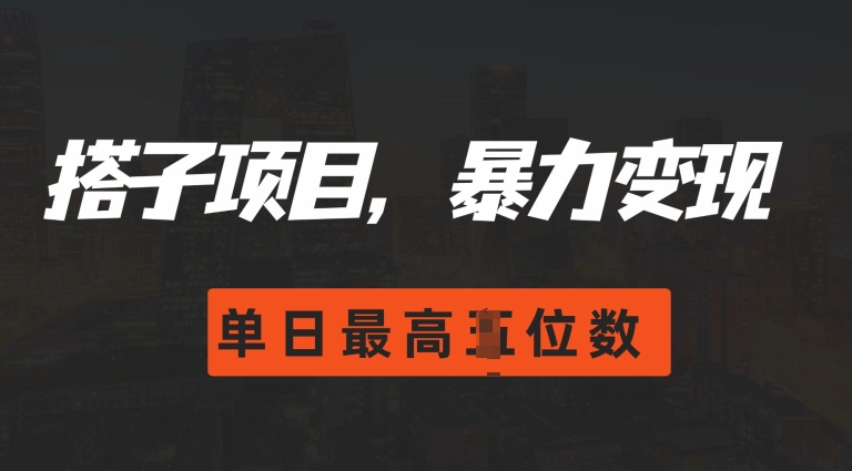 2024搭子玩法，0门槛，暴力变现，单日最高破四位数-百盟网